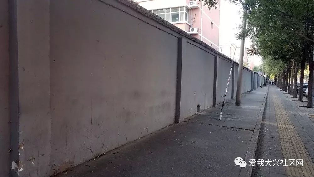 【大兴街景】大兴路边的墙怎么了?简直一天一个样!