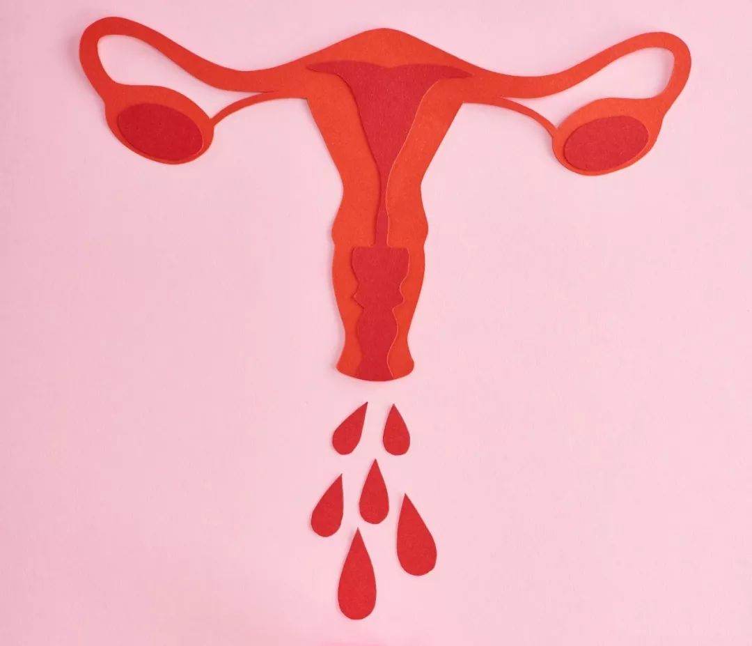 胚胎不着床只因内膜薄?这2个长内膜办法我告诉你