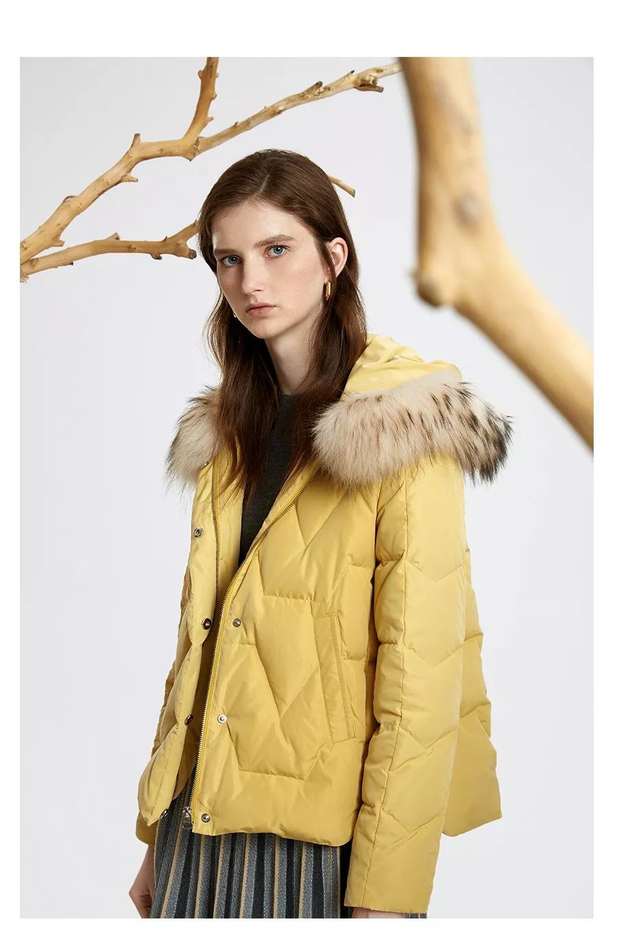 sedate 水云间 新品上市 | 从容人生,轻装上阵