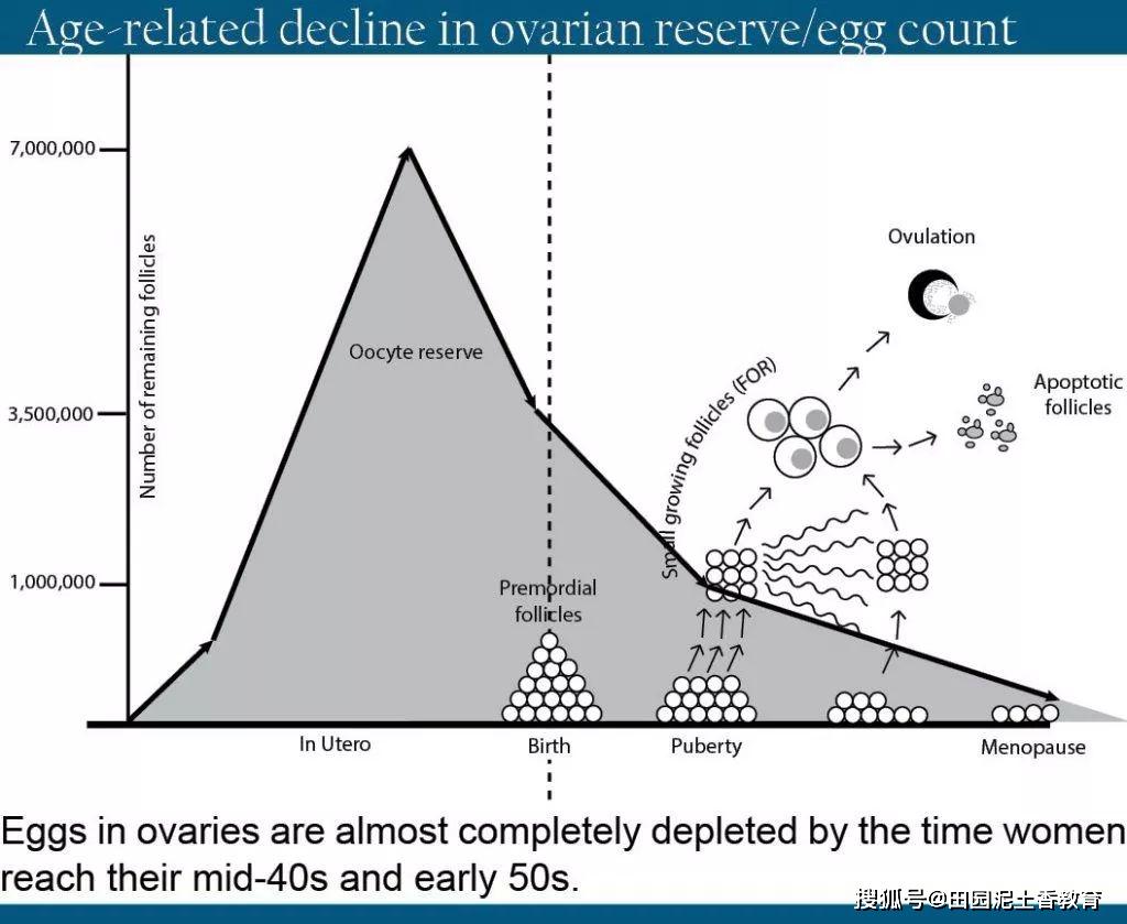 67岁的超高龄产妇是自然受孕吗若是则是打破世界上最高年龄的记录