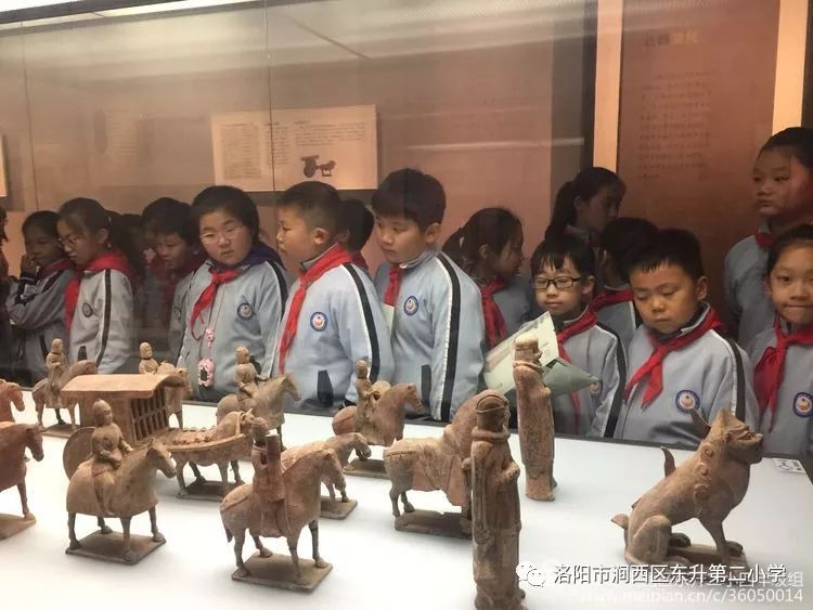 触摸洛阳历史感知河洛文化东升二小四年级洛阳博物馆研学之旅