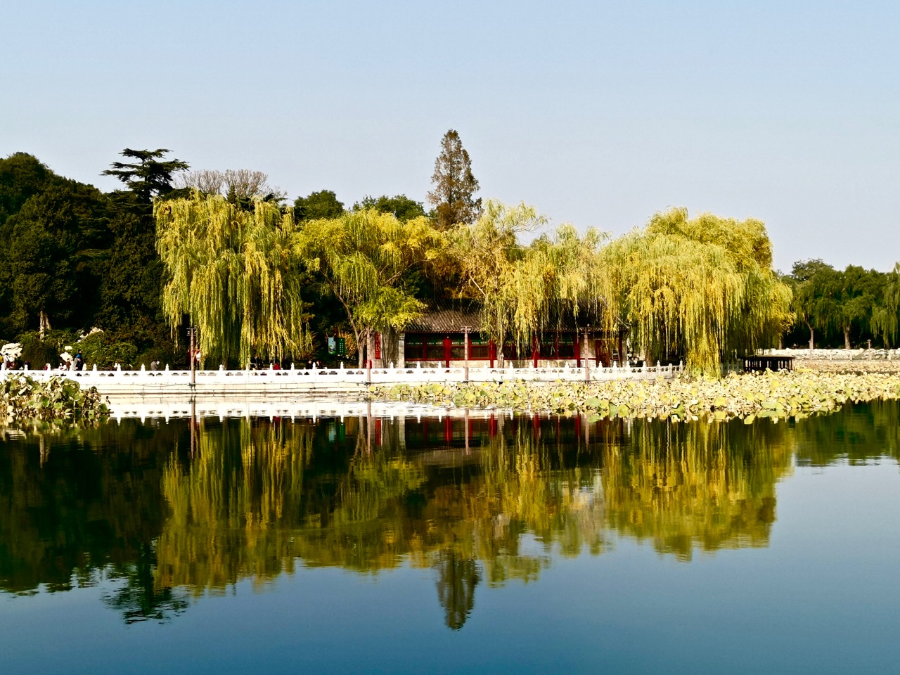 記錄北京的秋天:北海公園望白塔,秋水共長天