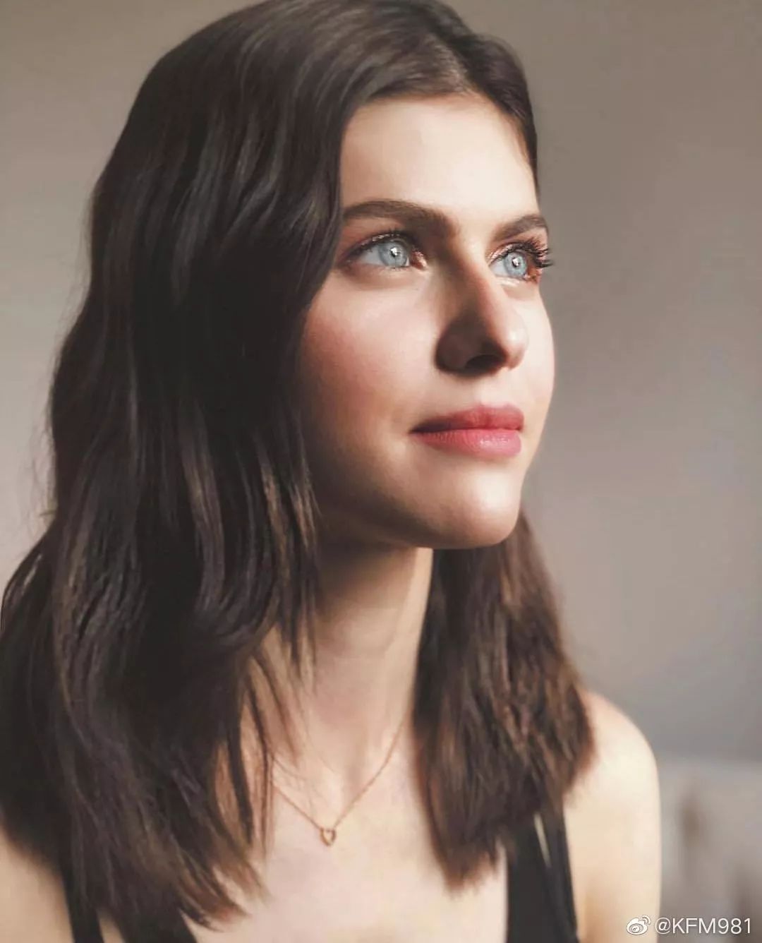 谁都无法逃脱jade的哈士奇眼!