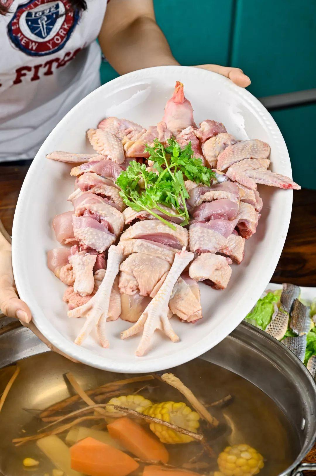 吃水鱼鸡煲还敢放冷血动物凌晨1点也要去吃