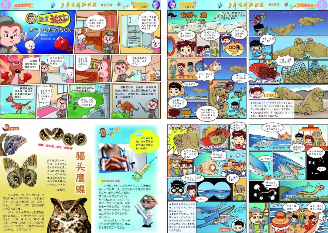 少年百科知识报一份陪伴孩子们童年成长的全国优秀少儿报刊