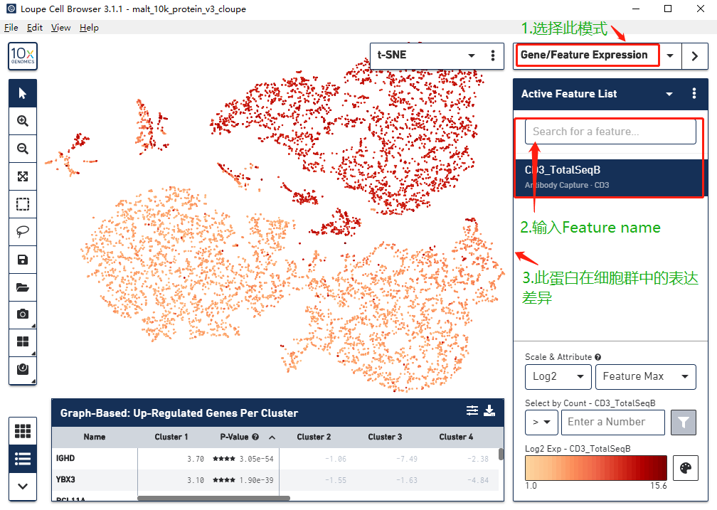 Dr. cell专栏 Loupe Cell Browser操作宝典_细胞