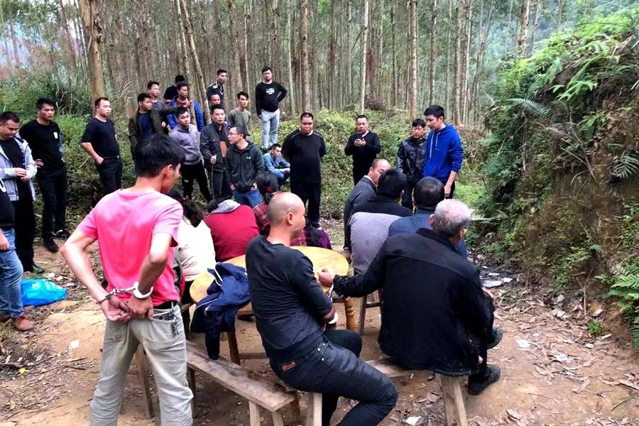 欽北警方搗毀小董鎮那鶴村野外賭博窩點照片