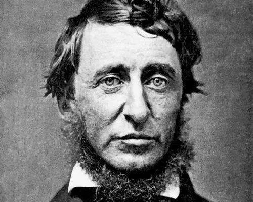 (henry david thoreau,1817