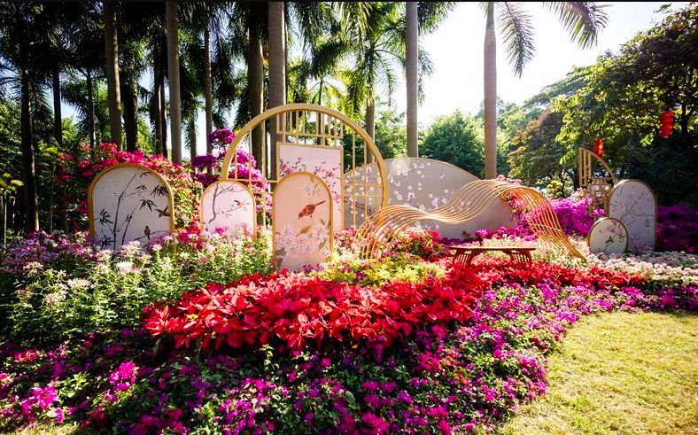 广州一年四季都有花:在广州雕塑公园赏花,引爆羊城秋冬赏花潮