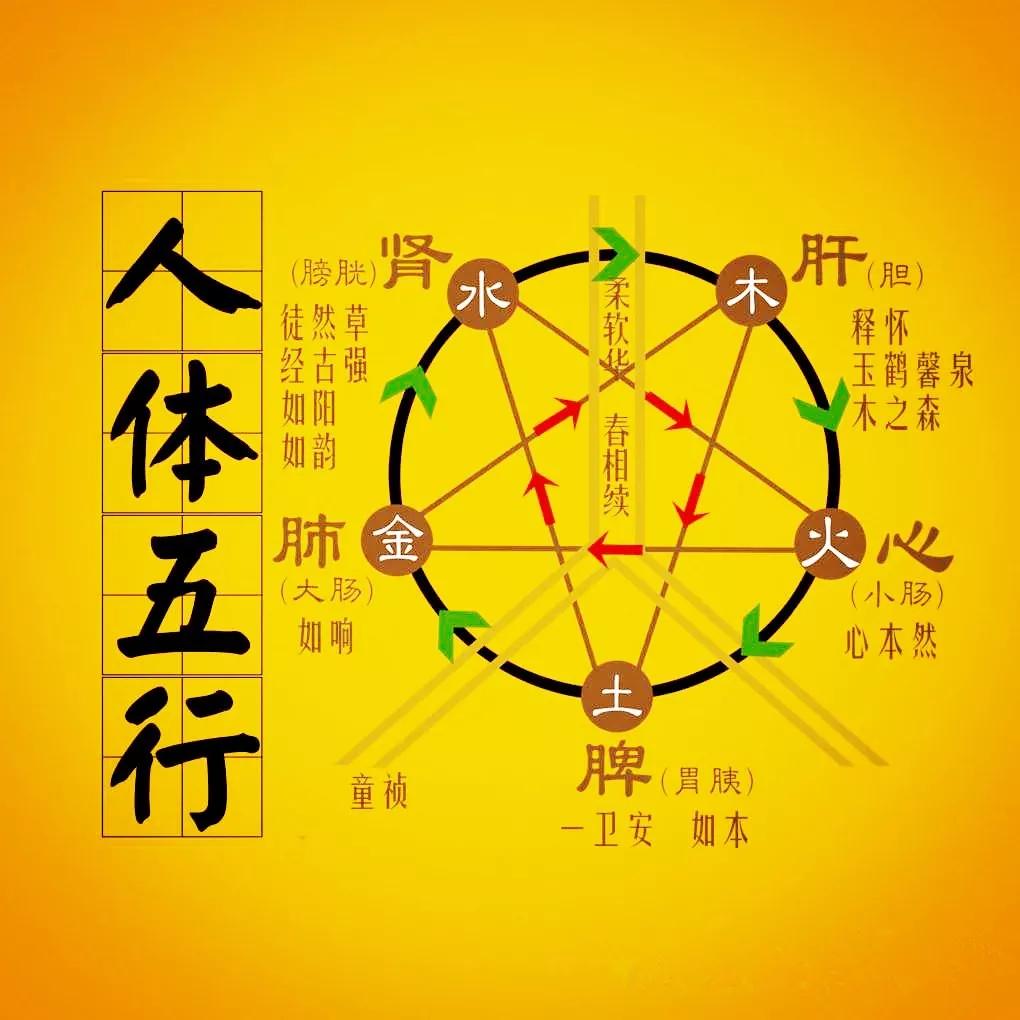 道医五行能量!_事物