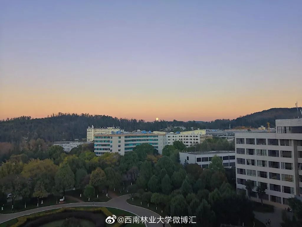 西南林业大学俯视图图片