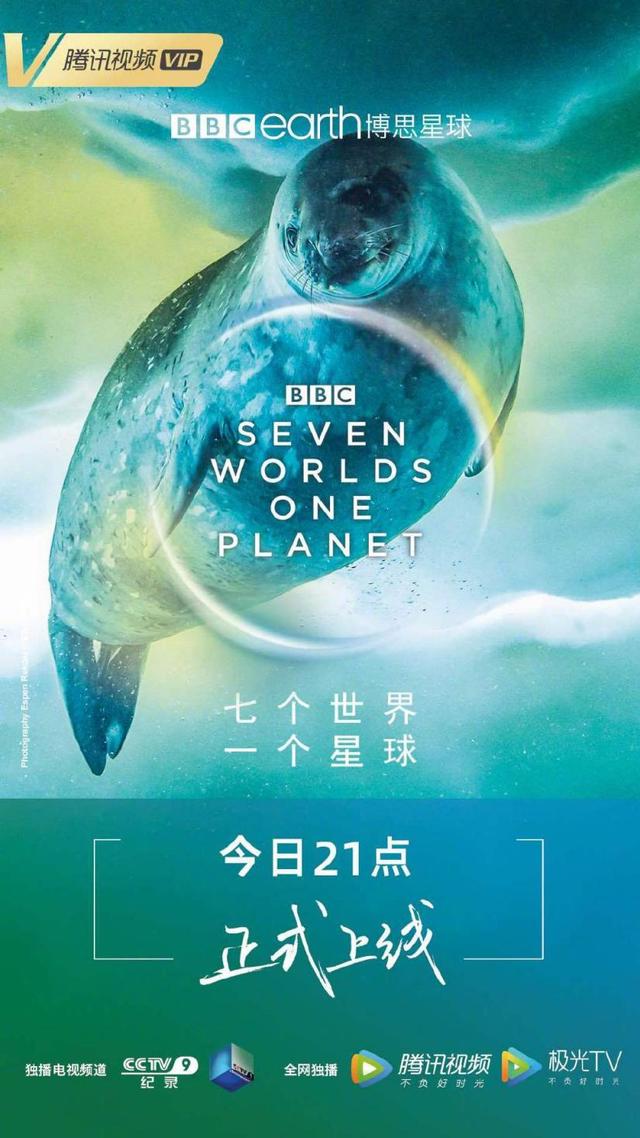 bbc又一神作纪录片七个世界一个星球惊险壮观令人深思