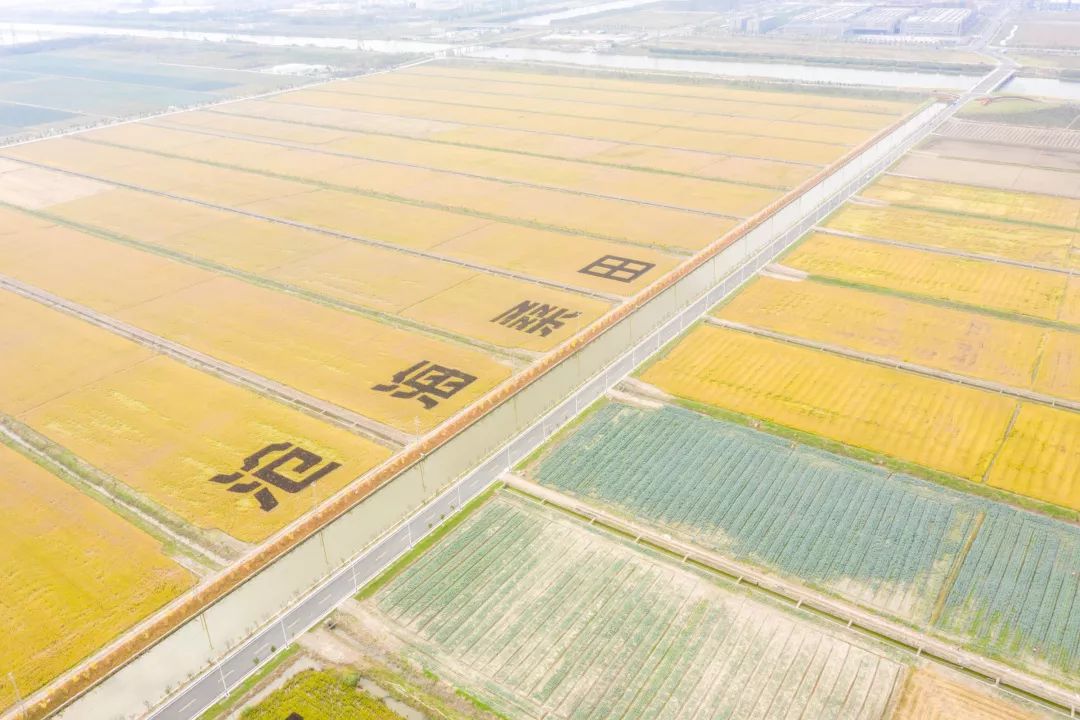 採風團先後走訪了庵東夢想果園,雨軒莊園以及慈溪國家現代農業產業園.