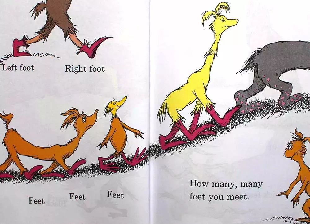 【绘本时间】千奇百怪的脚_foot