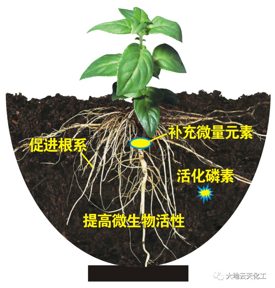 〖产品推介〗大地云天“解磷宝二铵”_磷肥