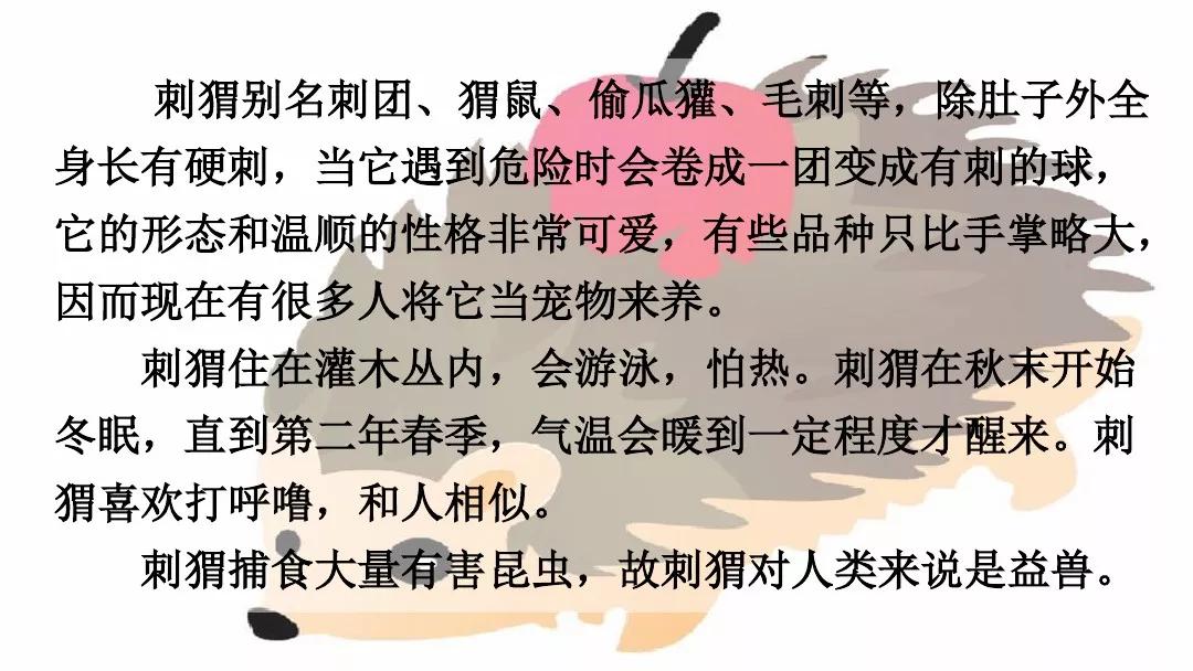 部编版三年级上册第23课《带刺的朋友》图文讲解_刺猬