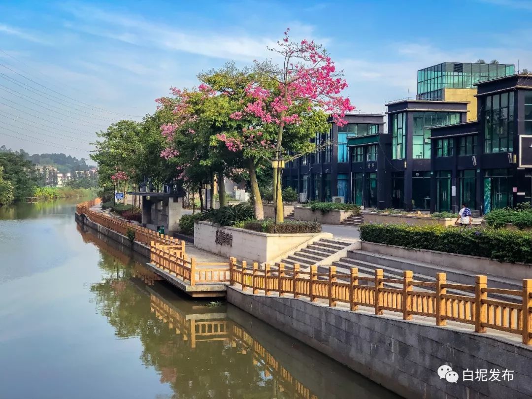 新的一周,新一轮的努力,有白坭蓝陪你_古镇
