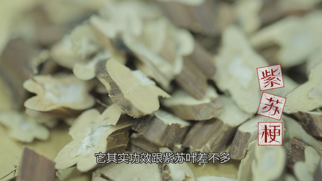 紫苏梗和紫苏叶的功效差不多只不过紫苏梗更偏于行气和中陈药师也说了