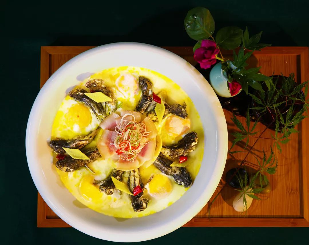 当桐香美味遇上桐乡好声音,凤凰湖边的这场盛宴你打卡了吗?