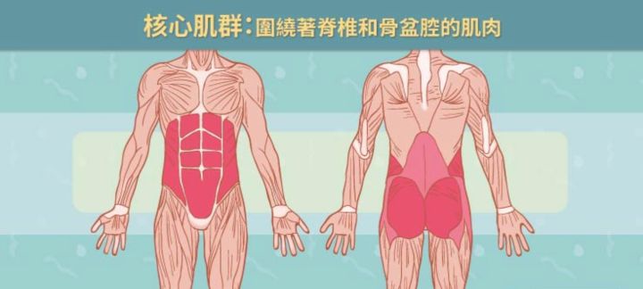 提升你跑步能力的必杀技—— 强化核心区