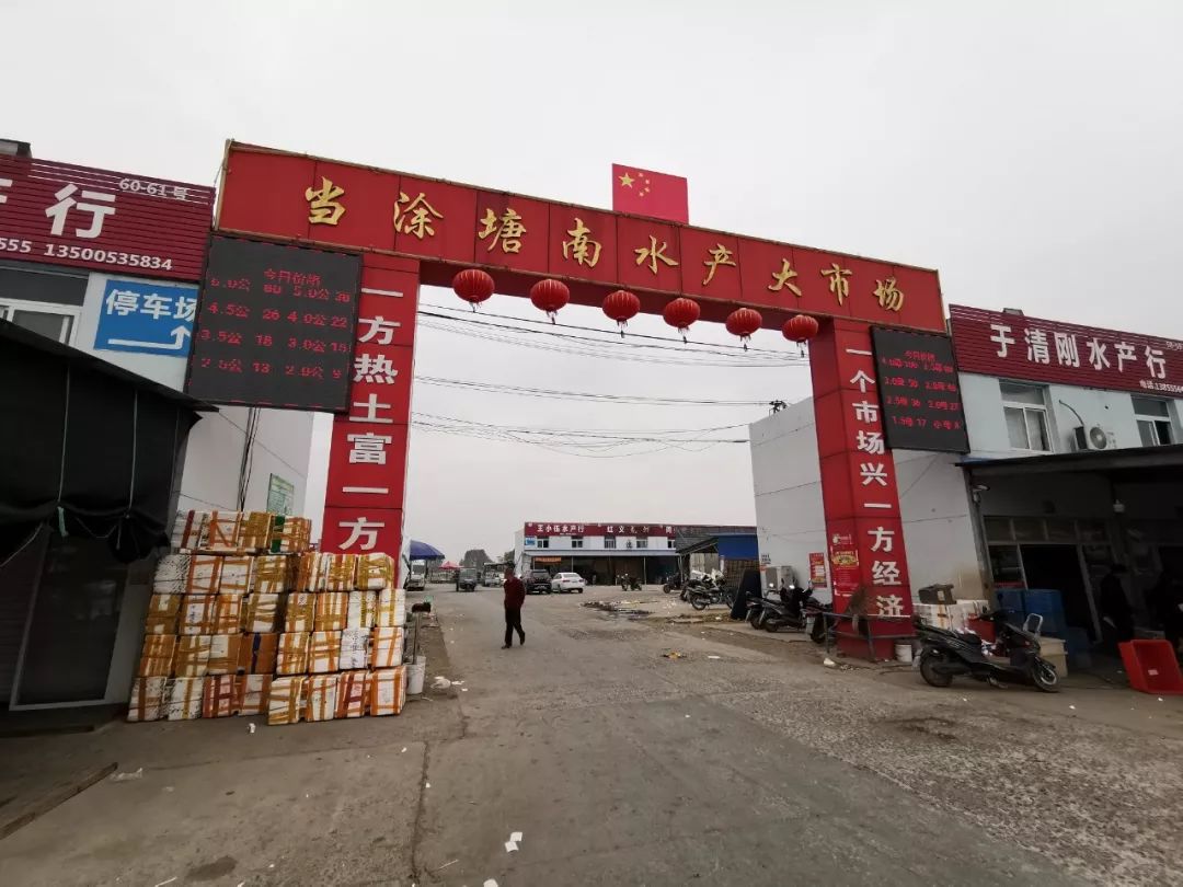 水产市场的宏观观察：聚焦‘宏康’优势