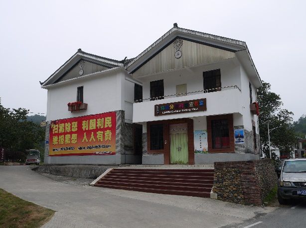 【我和我的祖国】头颈科党支部:走进"最美乡村",感受乡镇巨变_麻村