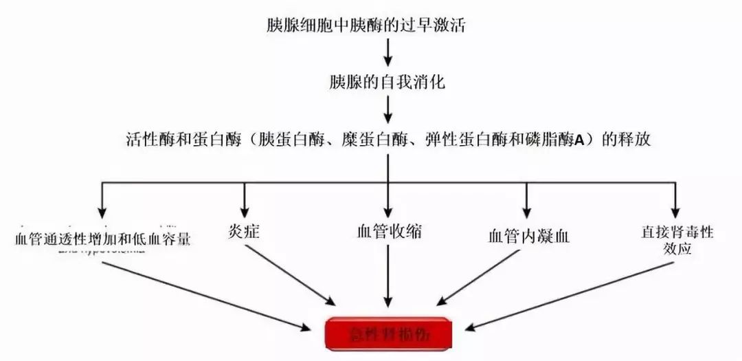 aki,急性腎小管壞死和少見的雙側腎皮質壞死