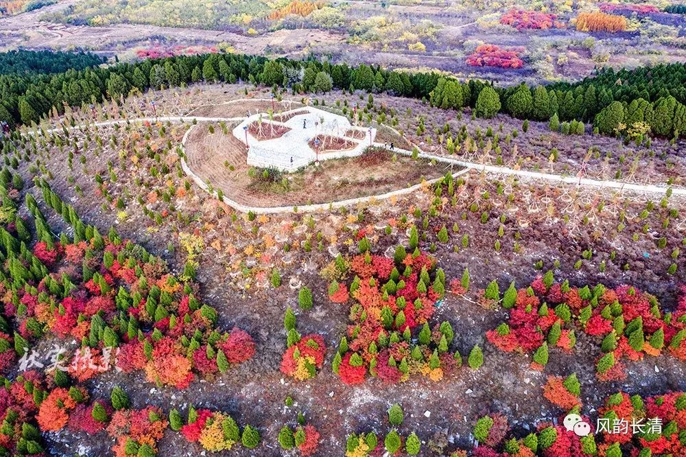 美哉长清家门口的风景双龙山山体公园