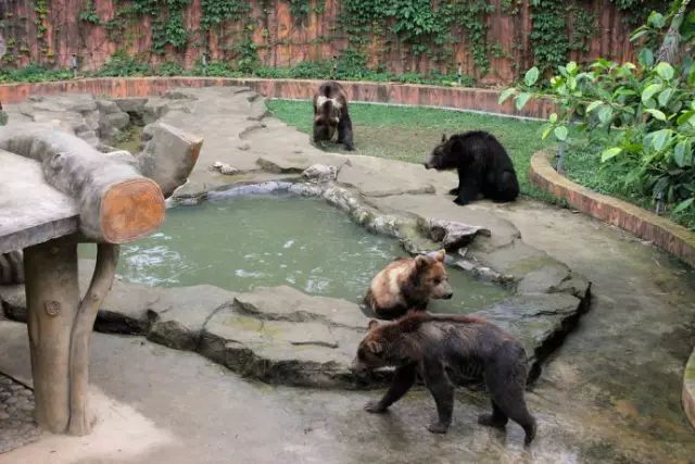 南寧動物園門票優惠公告出來啦門票半價了你會去嗎