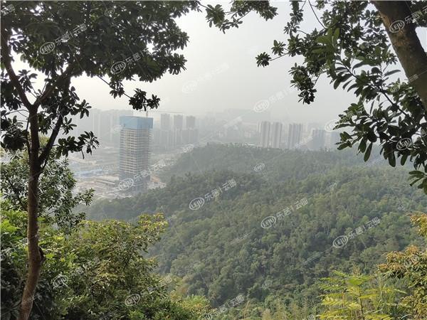 江油成功签下瞻望世纪航空旅游小镇,皓月广场商业综合体等4个文旅项目