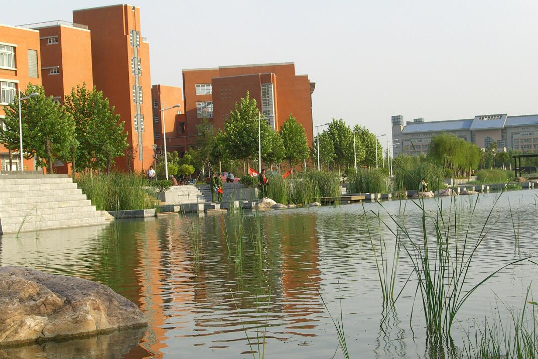 依托郑州大学丰富的学科优势和雄厚的师资力量,运用网络和计算机多