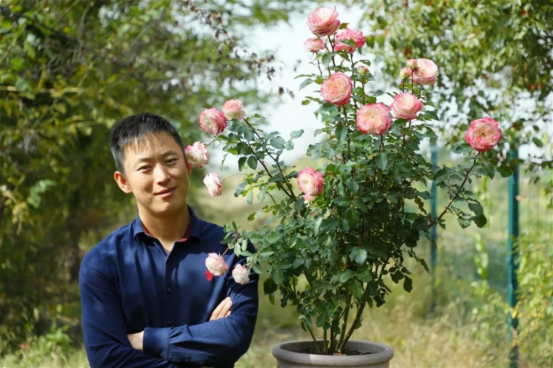 天狼姜正之图片