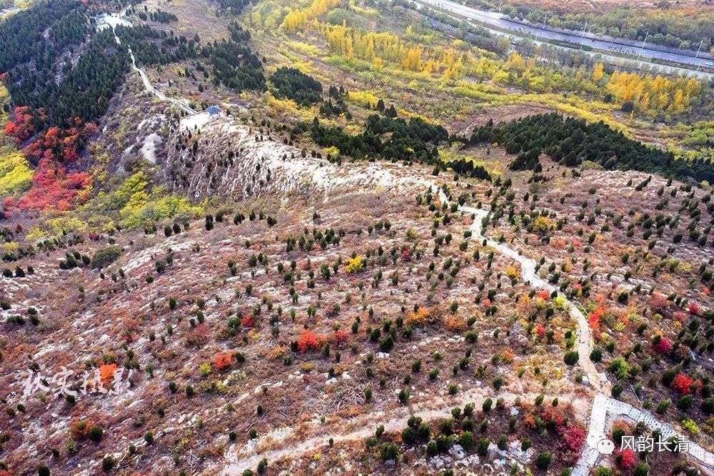 美哉长清家门口的风景双龙山山体公园