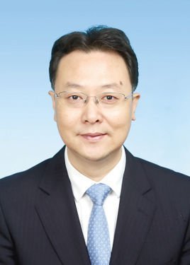 倪斌任天津市武清区区长图简历