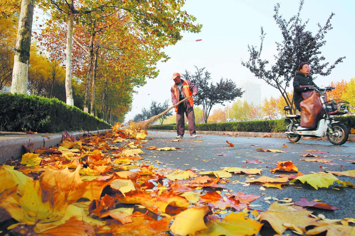 环卫工用高压水枪打黄叶 不能为了卫生丢了文明