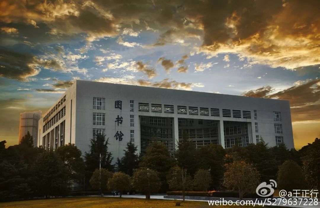 第三站:图书馆只为等待你的到来多少次迎来送往一盏灯的熄灭进入沉睡