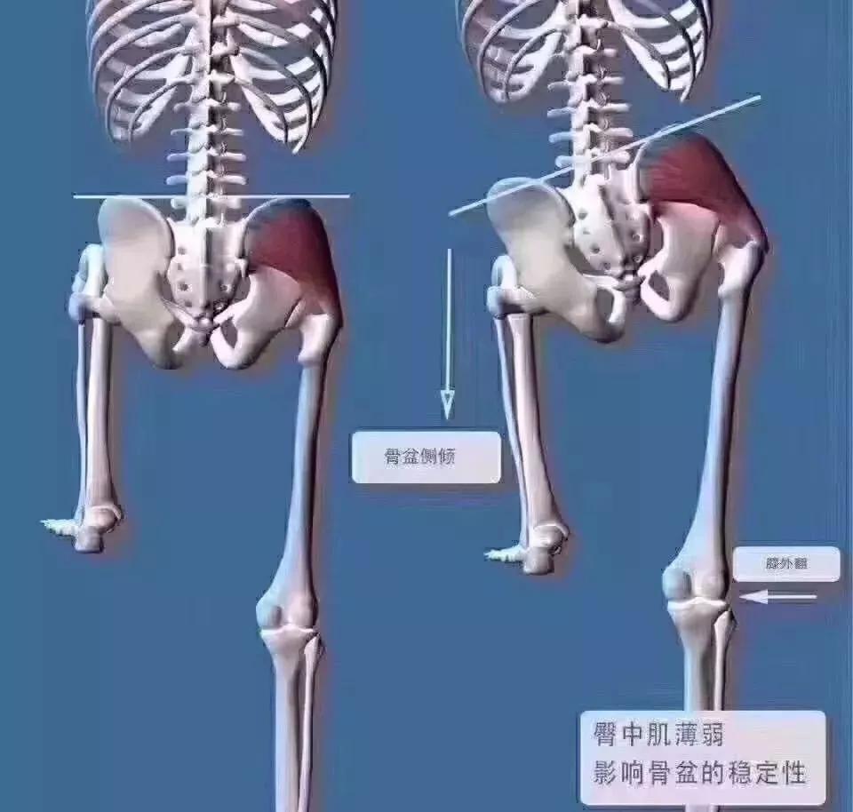 正骨窍要,全在摸法_手法