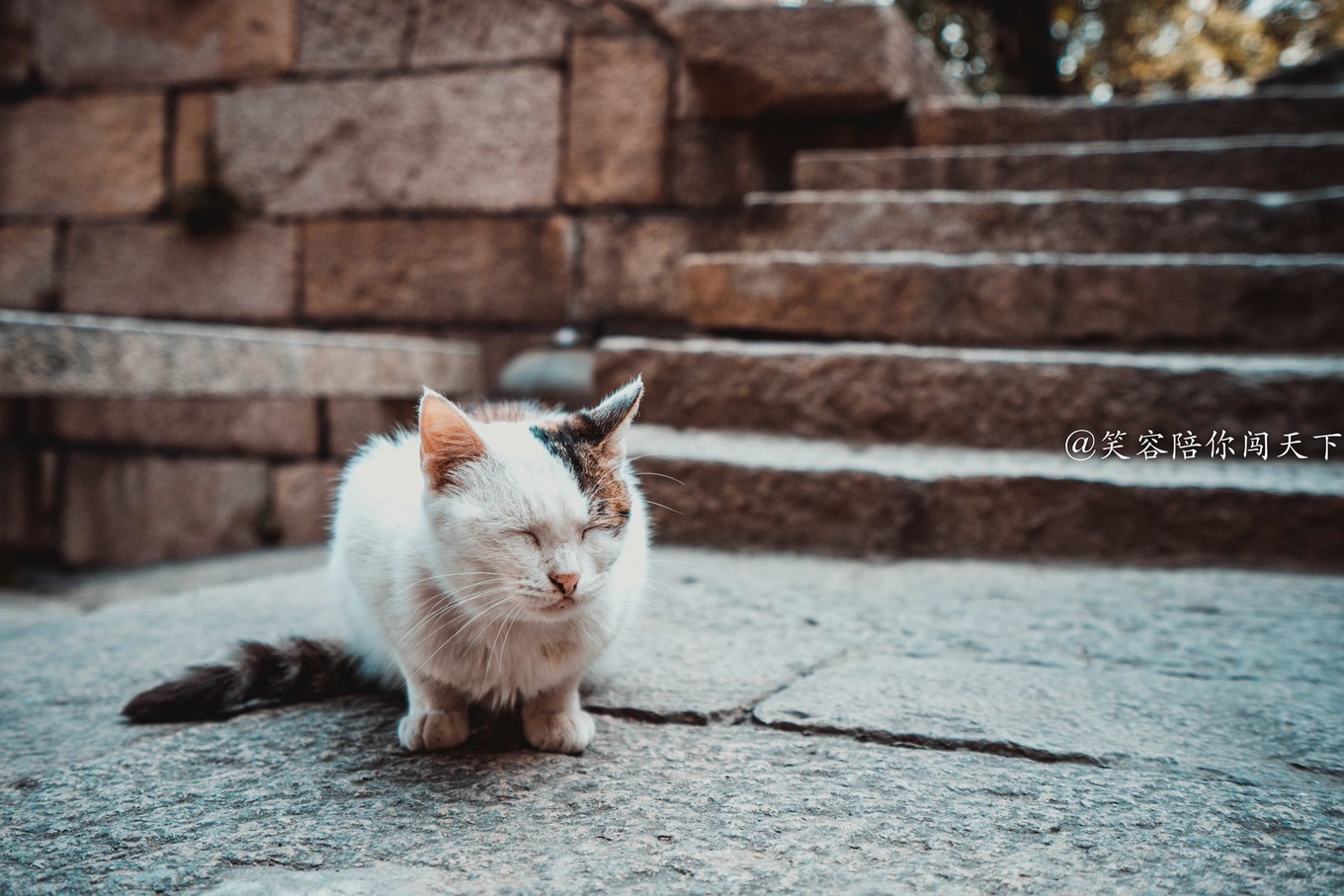比如海棠糕,梅花糕,饴糖,鸡脚等,但也有的东西是古镇自创,比如鸡肉米