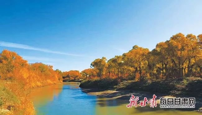 项目实施中,建设了疏勒河,党河河道恢复与归束等工程,打通了党河河道