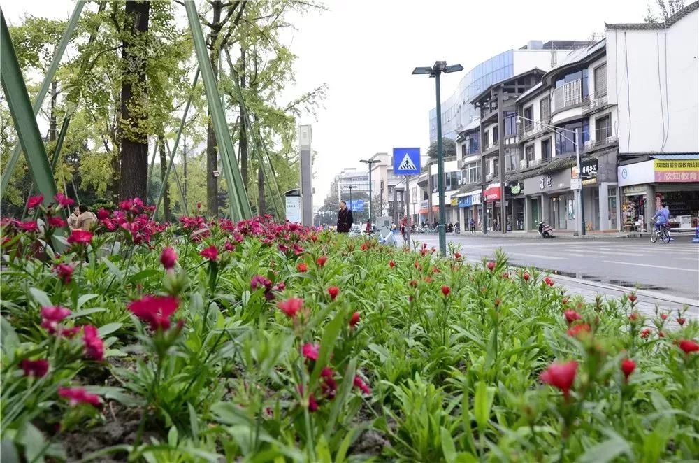 主要是以棠湖公园为核心,包含棠湖南路,棠湖西路,棠湖西路,南昌路等多