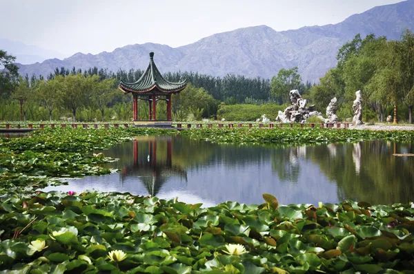 石嘴山日报记者 刘宵华 摄)平罗玉皇阁石嘴子公园(图源:石嘴山市惠农