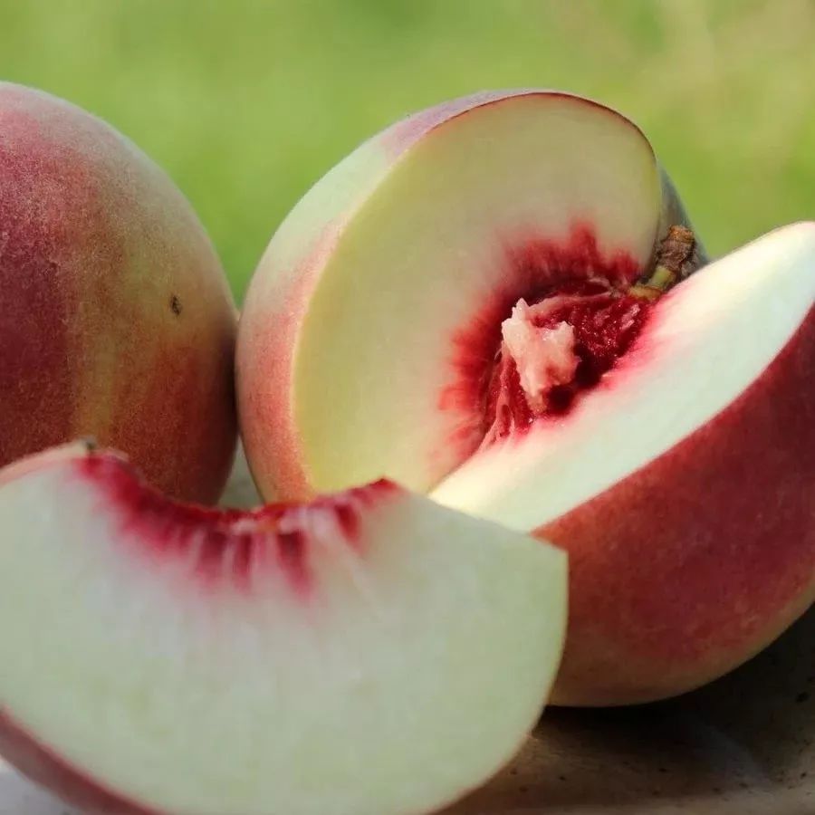 预订2月开花10月才熟邀您品尝来自云南高原的晚秋红心桃