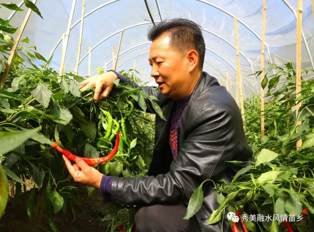 扶贫先锋丨丨赵继锋扶贫攻坚一线摸爬滚打的领头羊