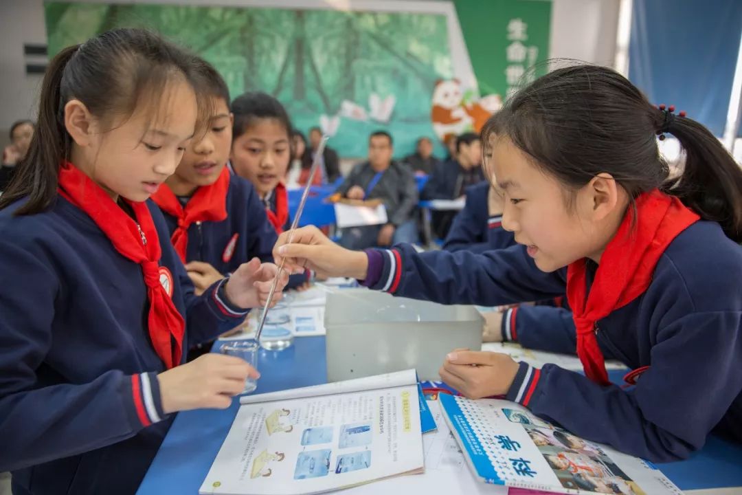 广州红星小学海珠校区图片