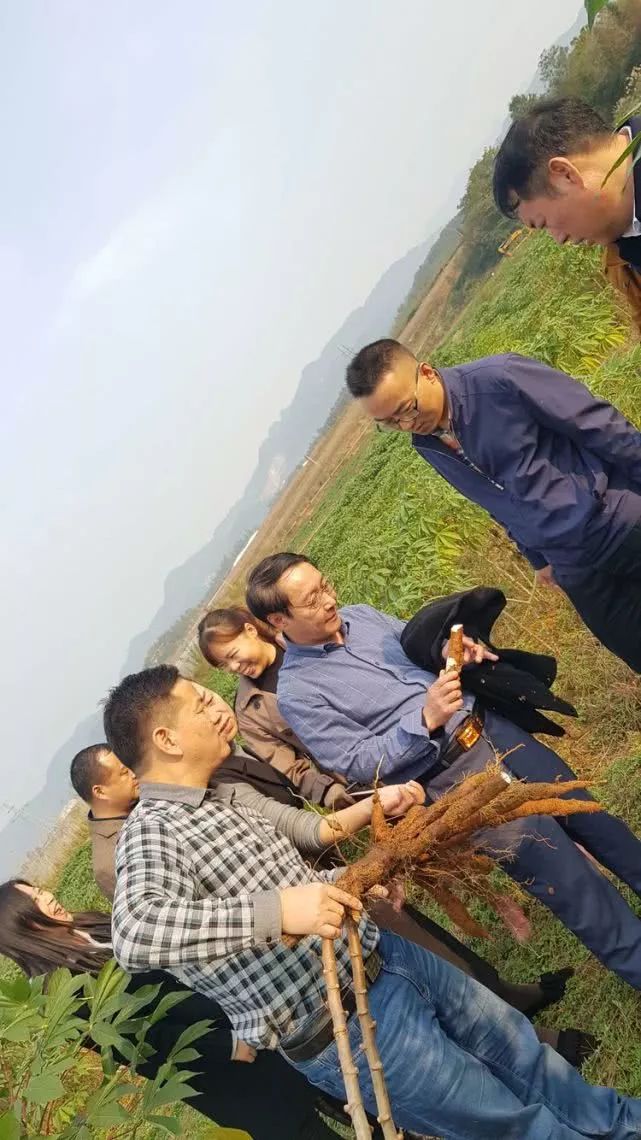 州政府调研组来花垣调研"省州重大经贸活动招商引资签约项目履约"