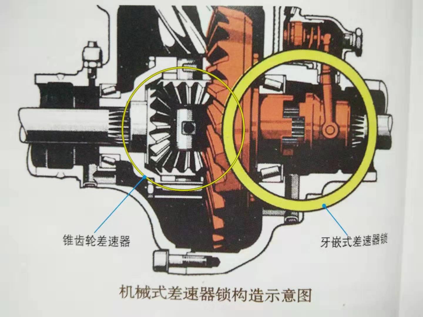差速器的绝佳帮手没有ta的帮助汽车也不过就是一个玩具