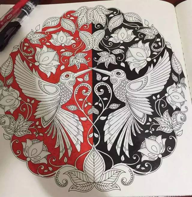 秘密花园p35作品欣赏蜂鸟篇一对飞翔的爱情鸟