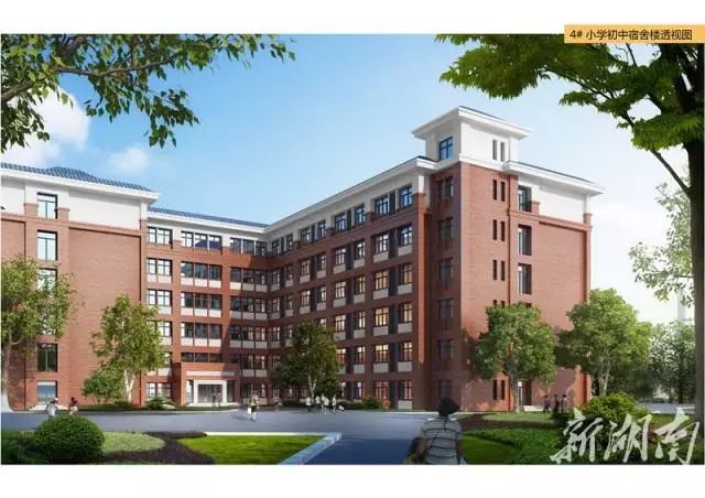 家长必看2020年张家界中心城区中小学学区最新划分你家孩子在哪上学