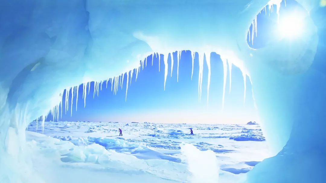 科学远征北极之光下