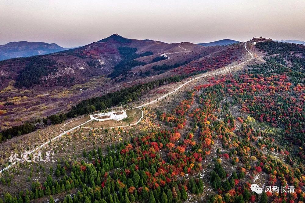 美哉长清家门口的风景双龙山山体公园